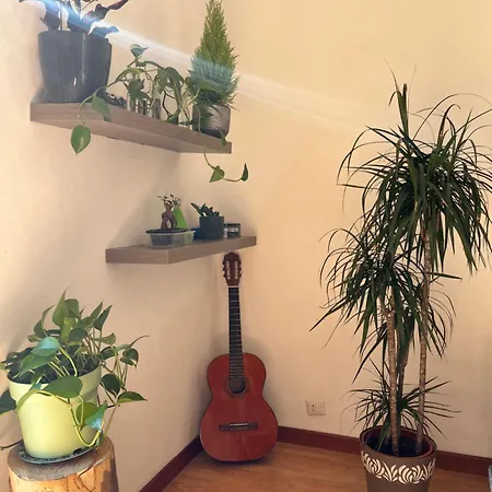 Molis's House Milaan